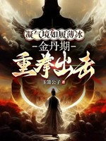 凝气境如履薄冰，金丹期重拳出击小说封面 - 玉箫公子著 - 仙侠小说