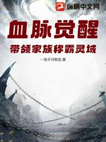 血脉觉醒，带领家族称霸灵域小说封面 - 一发不可收拾著 - 玄幻小说