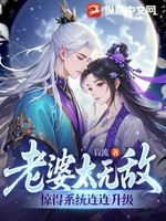 老婆太无敌，惊得系统连连升级小说封面 - 盲流著 - 小说