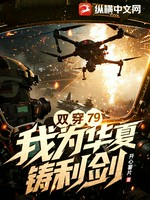 双穿79，我为华夏铸利剑小说封面 - 开心薯片著 - 都市小说