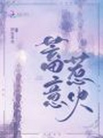 蓄意惹火小说封面 - 朝思暮欢著 - 言情小说