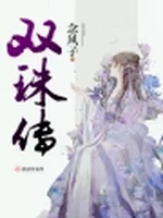 双珠传小说封面 - 念风子著 - 言情小说