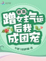 躺赢！蹭女主气运后我成团宠小说封面 - 不想飞的胖啾著 - 言情小说