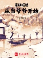 家族崛起：从当爷爷开始小说封面 - 不知未名著 - 玄幻小说