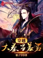 穿越大秦当暴君小说封面 - 悟了空著 - 玄幻小说