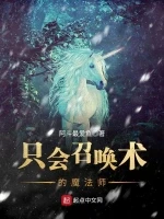 只会召唤术的魔法师小说封面 - 阿斗最爱鱼著 - 奇幻小说
