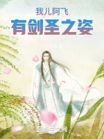 我儿阿飞，有剑圣之姿小说封面 - 凡心无垢著 - 武侠小说