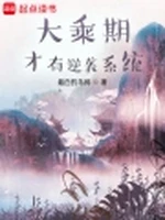 大乘期才有逆袭系统小说封面 - 最白的乌鸦著 - 小说