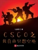 CSGO之我真的只想空枪小说封面 - lq连清著 - 游戏小说