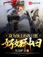 身为领主的我只想好好种田小说封面 - 大汉护卫著 - 游戏小说