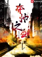 夺帅之剑小说封面 - 金寻者著 - 都市小说