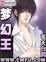 梦幻王小说封面 - 苍天白鹤著 - 仙侠小说