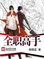 全职高手：番外小说封面 - 蝴蝶蓝著 - 游戏小说