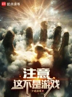 注意，这不是游戏小说封面 - 一夕成道耶著 - 游戏小说