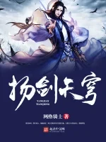 扬剑天穹小说封面 - 网络骑士著 - 游戏小说