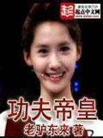 功夫帝皇小说封面 - 老驴东来著 - 都市小说