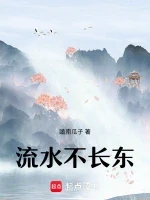 流水不长东小说封面 - 嗑南瓜子著 - 言情小说