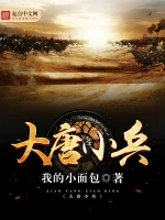 大唐小兵小说封面 - 我的小面包著 - 综合小说