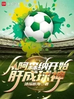 从阿森纳开始肝成球神小说封面 - 沐摇听海著 - 综合小说