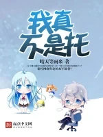 我真不是托小说封面 - 晴天等雨来著 - 游戏小说