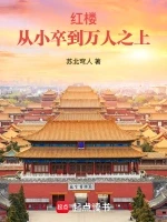红楼：从小卒到万人之上小说封面 - 苏北穹人著 - 综合小说