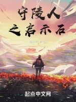 守陵人之启示石小说封面 - 皓小美著 - 综合小说