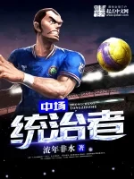 中场统治者小说封面 - 流年非水著 - 综合小说