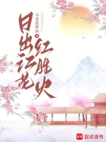 日出江花红胜火小说封面 - 小麦菠萝西著 - 言情小说