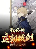 我必须立刻拔剑！小说封面 - 迷失之卷著 - 综合小说